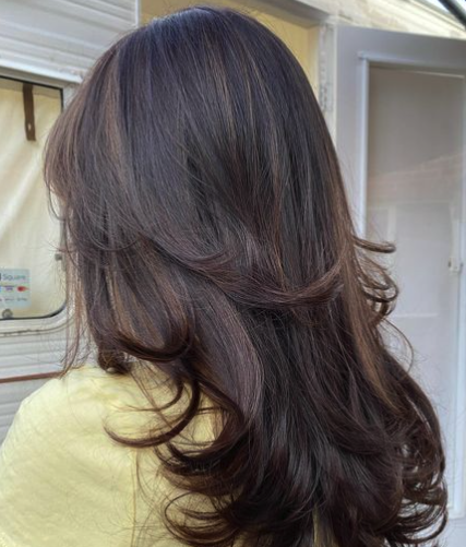Dark Brown with Feathered Layers