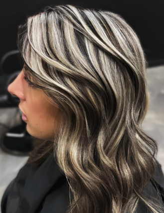 Dark Brown with Sleek Silver Stripes