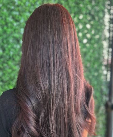 Dark Brown with Soft Red Undertones