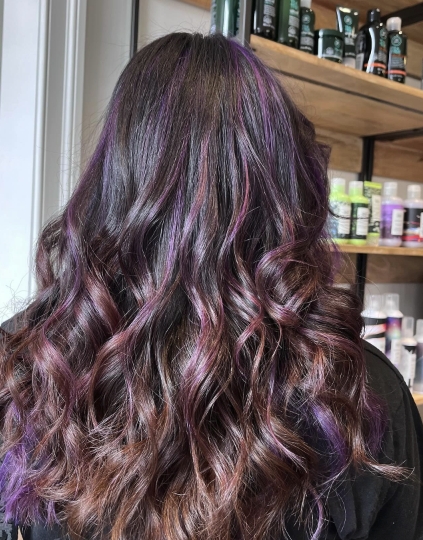 Dark Brown with Subtle Purple Highlights