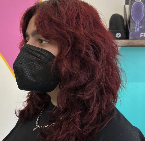 Deep Burgundy Wavy Shag