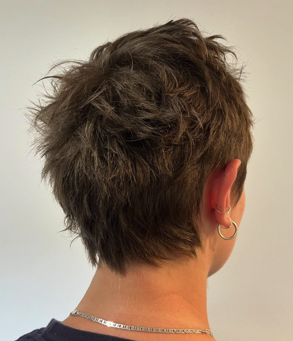 Short Spiky Dark Brown Cut