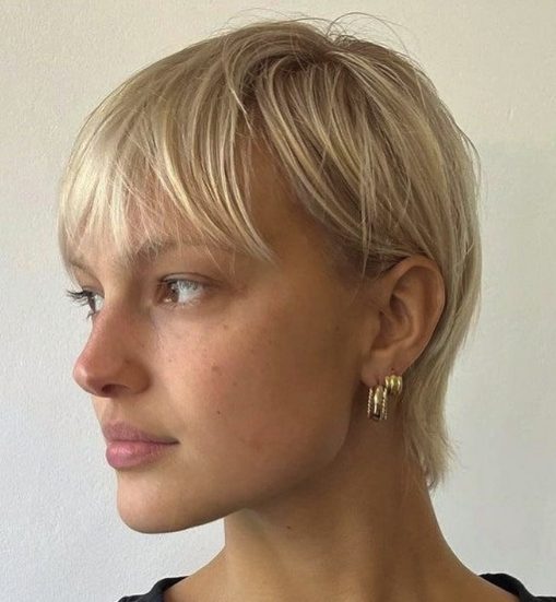 Soft Pixie Cut with Layers for Fine Hair
