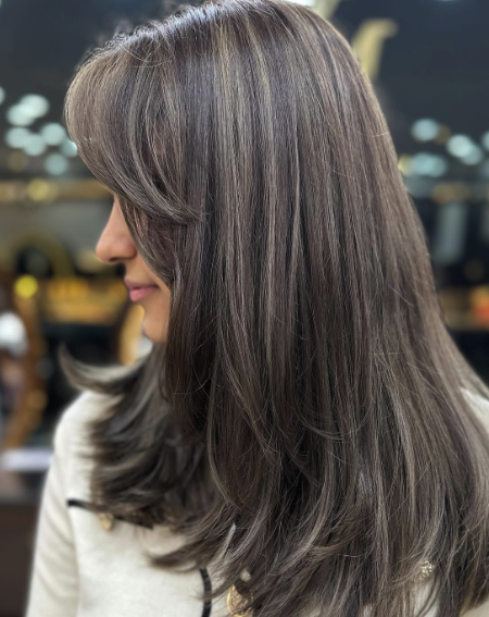 Straight Dark Brown with Ashy Highlights